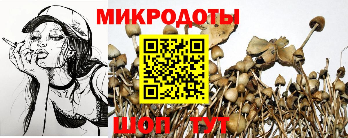 купить наркотик  Галлюциногенные грибы мицелий  Вход с VPN  Кострома  Псилоцибиновые грибы Psilocybine cubensis 